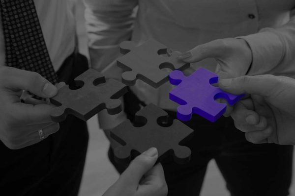 Insights Discovery- Team Effectiveness